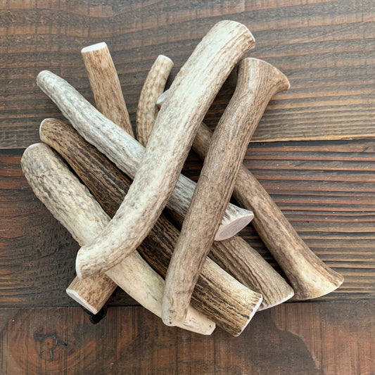 Large Whole Elk Antler