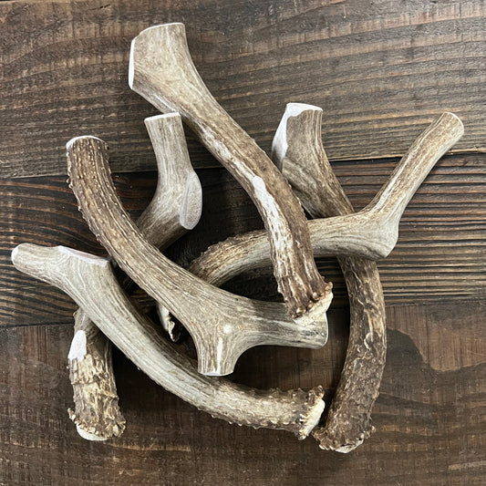 Jumbo Deer Antler