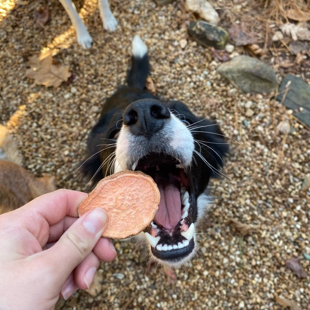 Sweet Potato Treats