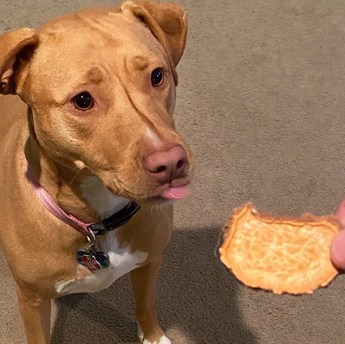 Sweet Potato Treats