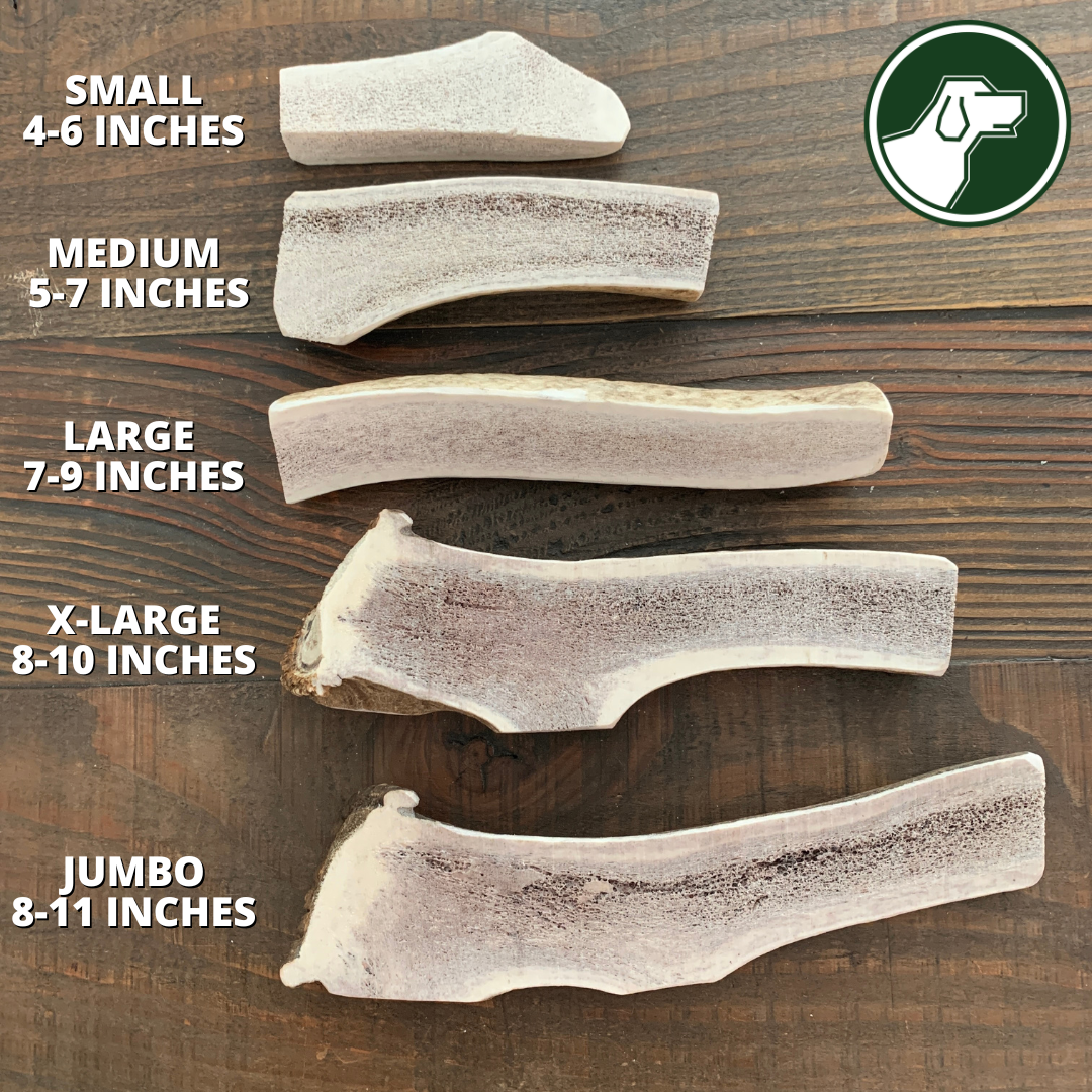 Jumbo Split Elk Antler