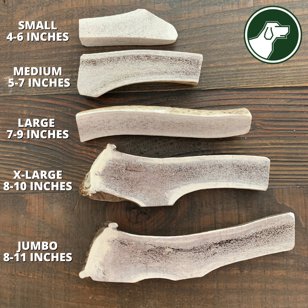 Medium Split Elk Antler